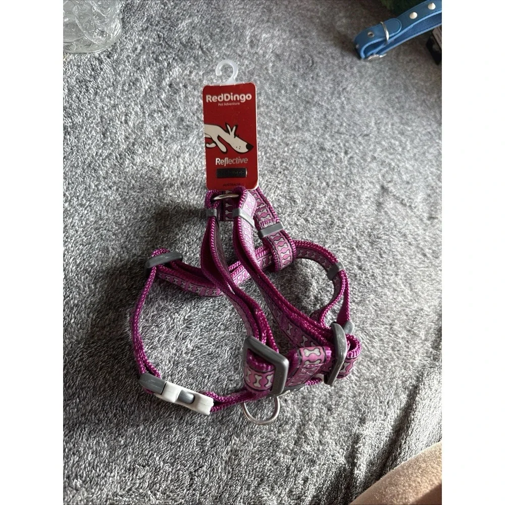 Red Dingo brand new